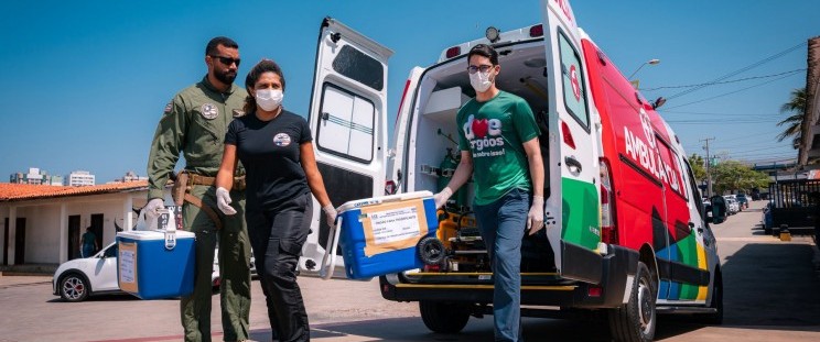 Maranhão registra recorde histórico de transplantes em 2025