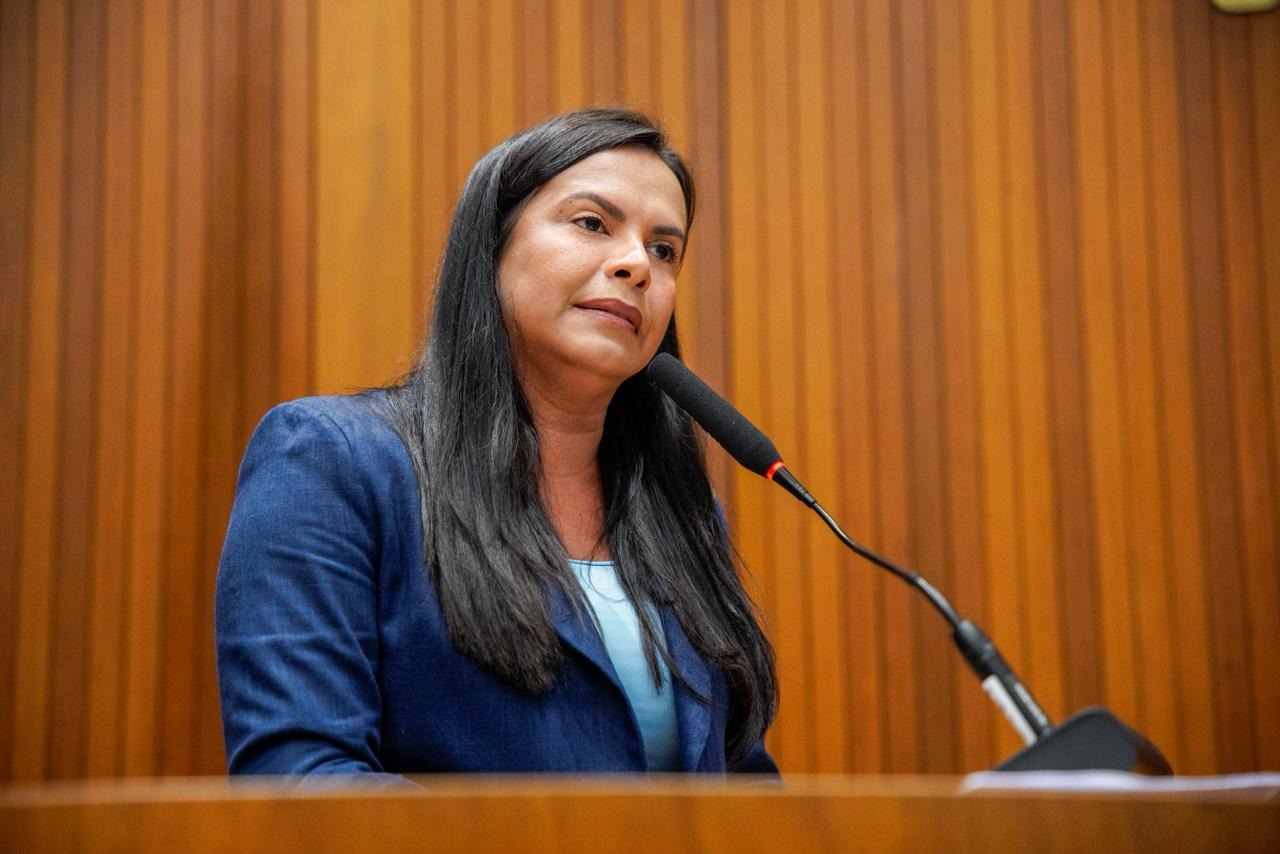 Deputada pede permanência do Viva/Procon e Estação Tech para municípios maranhenses