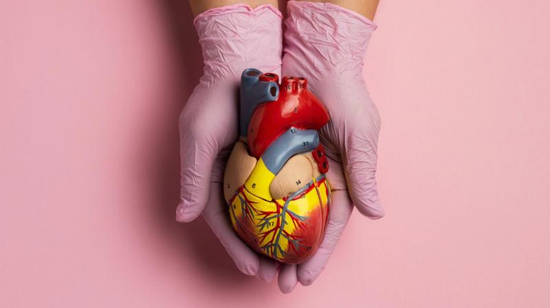 Projeto quer incluir pergunta sobre doação de órgãos no Censo do IBGE